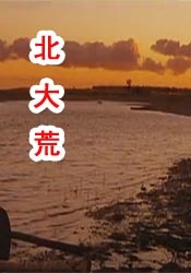 欧美激情一区二区三区视频高清